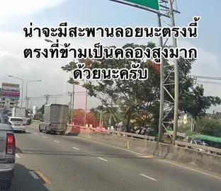 ปีนต้นไม้ข้ามถนนไปเลยสิ #สะพานลอย #มิติใหม่การข้ามถนน