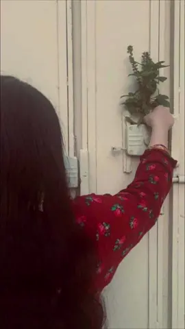 #يحيى_العلاق#شعر#شعر_شعبي_عراقي #العراقيات #منشن #عراقيةوافتخر🇮🇶 #explor #حب #fyp 