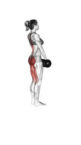 Stiff explicadinho pro teu treino! #foryou #paravoce #gym #academia #perna