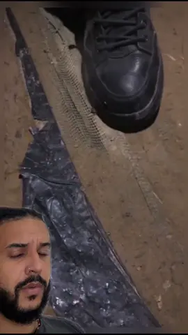 Besouro bizarro tem uma arma natural!! 🪲 #animaisnotiktok #bichos #biologia #ciência #curiosidades 