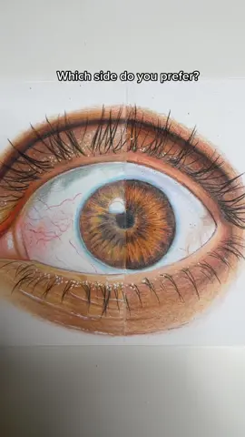 Replying to @valerieespino.arts Which side do you prefer #cheapvsexpensiveart #crayola #prismacolor #eyedrawing #artchallenge #realisticart #realismart 