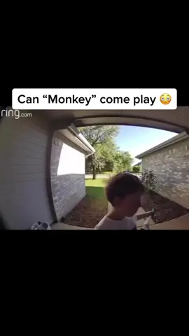 Caught on a ring doorbell camera: A little boy approached a house and asked a mother if her son ‘Monkey’ could come out and play. The mother kindly explained that her son’s name is Jayden and he couldn’t come out to play. She also took the opportunity to educate the child about the name was inappropriate and hurtful. #Teachablemoment #Respect #Kindness #Parenting #Ringdoorbell