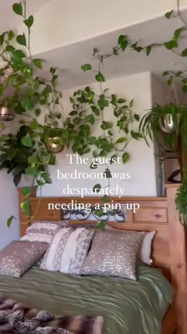 Link in Bio 📌 Transforming my space into a lush indoor jungle has never been easier 🌿 My little secret? Push pin hooks! They’re the perfect solution to pin my favorite vines to the walls and create that perfect green oasis vibe 🌱 . . @joy.of.plants.shop . . #plantsofinstagram #plantdecor #indoorjungle #urbanjungle #houseplantclub #joyofplantsshop