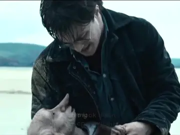 دوبي😭💔💔 .#harrypotter #explore #هاري_بوتر #harrypotter #harrypotter #harrypotter #harrypotter #harrypotter #harrypotter #harrypotter 