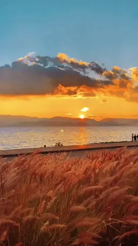 #sunriseview #naturevideo #lakeview #fyp #foryou #fypシ #healing 