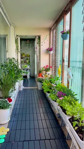 Gốc Bình yên ❤️#73quangbinh #추천 #xuhuong2023 