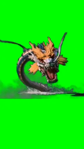 Dragon green screen #dragon 