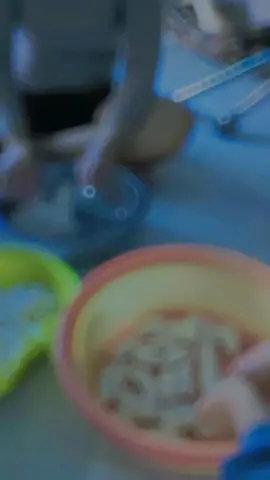 #CapCut #dủtendtiktok #xuhuongtiktok