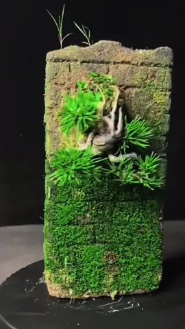 Nghệ thuật sáng tạo #bonsai #bonsaivietnam🇻🇳 #bonsaivietnam #bonsaimini #bonsaitips #LearnOnTikTok #bonsaitree #xuhuong2023tiktok❤️🌈✔️ 