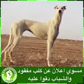#😂😂😂😂😂😂😂😂😂😂😂😂 #😂😂😂😂😂😂😂😂😂😂😂😂 #كويت_قطر_البحرين_السعوديه_الامارات 