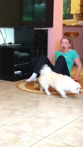 Me pranking our mom with my girlfriend alexisfeather and my dog #wigofellas #funnyvideos #funny #viral #fyp #foryou #prank #fypシ