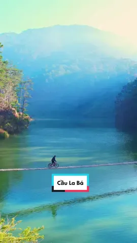 Dạo này mình thấy mọi người chê Đà Lạt nhiều quá, mà Đà Lạt nào có lỗi đâu ta 🥺 #sangkhokhan #dalat #cautreo 