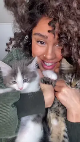 Luffy est coopératif 🐾 miaw