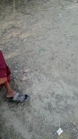 #foryou #foryoupage #viralvideo #tarinding 