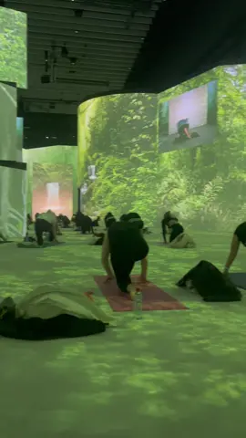 The most beautiful Yoga spot 🍃🧘‍♀️ #YOGA #FYP #slowdown #forest #melbourne 