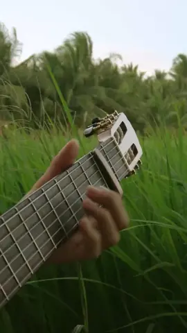 Buổi chiều quê tui cũng chill lắm chứ bộ! Endless Love phiên bản đồng ruộng #fingerstyle #GuitarSolo #guitarcover #Guitar #cover 