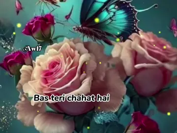 🧿𝓐 ❤#ansje_w17 #lyrics #lyrical #foryou #foryoupage #fypシ #fypシ゚viral #video 