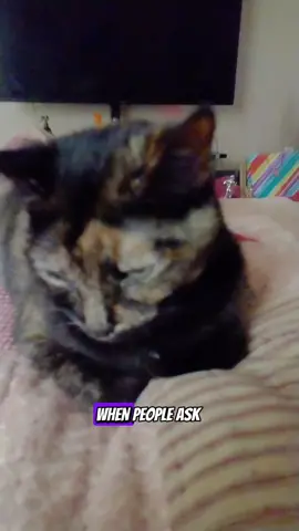 Mental health is a work in progress #capcut #catsoftiktok #MentalHealthAwareness 