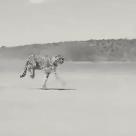 اي بالله ..