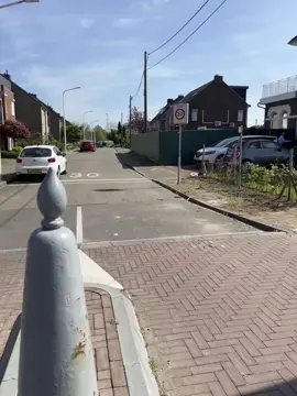 מיסים בבלגיה והולנד 