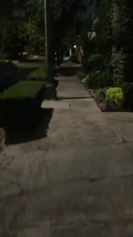 #caminata #walk #méxicodenoche #videosrandom 
