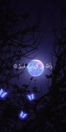 أواخر سورة البقرة بصوت الشيخ ياسر الدوسري حفظه الله ورعاه . #قران_كريم #ايات_قرآنية #موعظة #طمأنينه #راحة_نفسية #تلاوات #ياسر_الدوسري #سورة_البقرة #اواخر_سوره_البقره #صلوا_على_رسول_الله #لا_اله_الا_الله #اكتب_شي_توجر_عليه #اكسبلور #الاسلام #fyp 