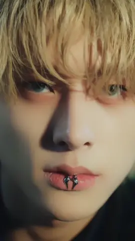 Live Wallpaper ENHYPEN - DARK BLOOD v.1 (feel free to give new suggestions) #livewallpaper #livewallpaper4k #livewallpaperkpop #livewallpaperenhypen #livewallpaperen- #wallpaper #enhypen  #en- #enhypenengene #en-engene #engene #heeseung #jake #sunghoon #jay #sunoo #niki #jungwon #kpop #kpopfyp #fyp #fypシ #fypageシ  #fypage