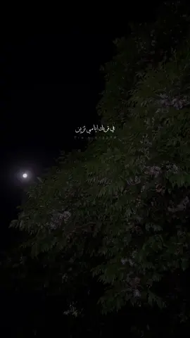 🤍🤍.#اكسبلورر #تصويري #foryou #foryoupage #fyp 