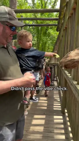 He had so much trust there in the beginning. 💀 #humor #toddler #comedy 