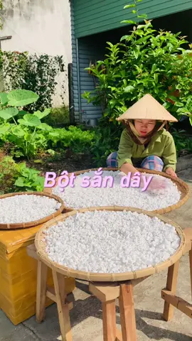 Uống 1 ly sắn dây để giải nhiệt ngày hè nha #botsanday #sanday #bôtsắndây #bộtsắndây #bộtsắndâynguyênchất 
