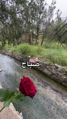 #صباح_الخير #طبيعة_ساحرة #صباحكم_معطر_بذكر_الله 