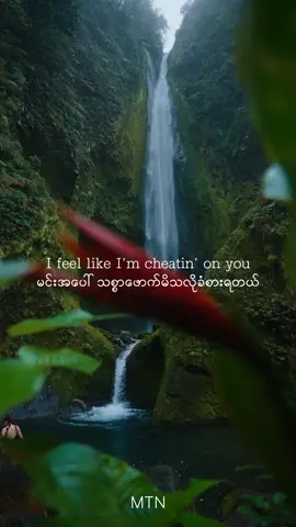 cheating on you 💔#charlieputh #song #mmsub #fyp #foryou #lion 