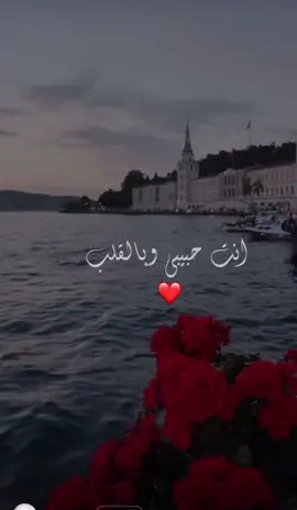 انت ملاك قلبي هوا❤️#اليسا #انت_لمين_انت_الي #fyp #fy #❤️✨ 