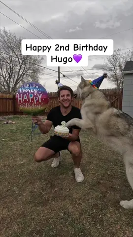 Dad will always protect you 😇 Happy Birthday Buddy. You are my miracle #dogsoftiktok 