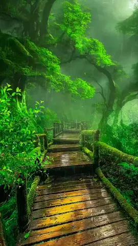 Green Nature #tiktok #viral #wallpaper #pakistan #foryou #foryoupage #hdwallpapers #islamic_video #islamicvideo #hd #mood 