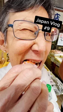 Japan Vlog #9 