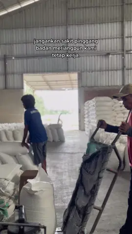 Kerja kerja kerja #fypage #pbaura #pejuangrupiah #pabrikberas #pekerjakeras #bugissulawesi #beras #gabah 