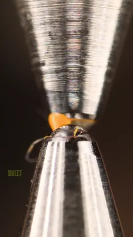 Two Pens Close-Up #satisfying #macro #amazing 