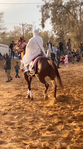 #بسم_الله_ماشاء_الله #صلوا_على_رسول_الله #يربح_من_يصلي_عن_النبي🌙 