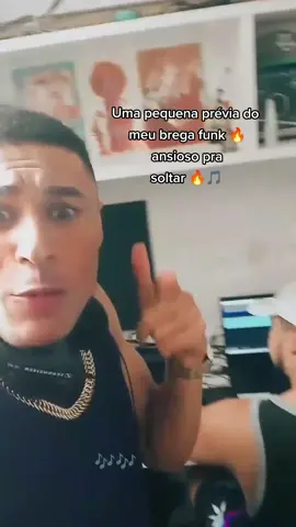 #Uma #pequena #prévia #do #meu #brega #funk🎵🔥🔥🔥🎵🎵🎵🔥🔥🔥  #bregafunkbrasil #bregafunkmusica #ansioso 