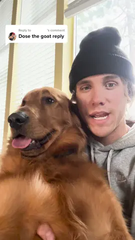 Replying to @⠀ ⠀ ⠀ ⠀ ⠀ This Comment Section Is Gonna Be Interesting 