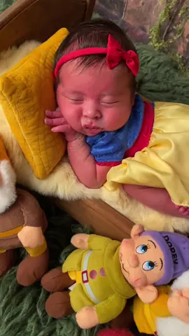 Cutest little snow white! How adorable! #fyp #babysnowwhite #snowwhiteshoot #newbornshoot #newbornphotoshoot #houstonnewbornphotography #houstonnewbornphotographer 
