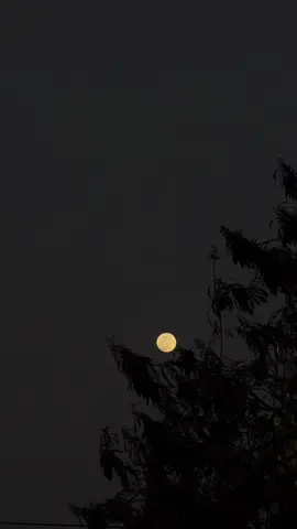 قمر اليوم 🌒 #fyp #explore #viral #تصويري #اكسبلور #fypシ #قمر 