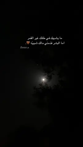 #قمرا#سريت_ليل_الهوى #احساس_ابونوره_محمد_عبده 