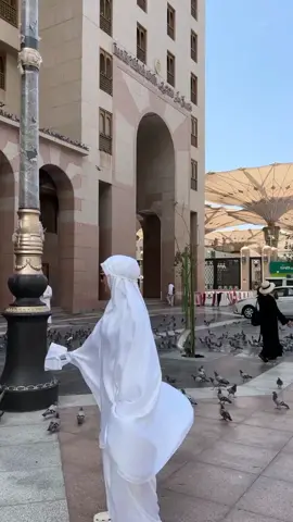 Rekomendasi mukena umroh, pilihannya ada di khazzanah white 😍 yuk di order ukhti sebelum kehabisan lagi 🥰 #tiktokshopdoubledaydoublejoy #mukenacantik #fypシ #mukenaumroh #mukenaputih 