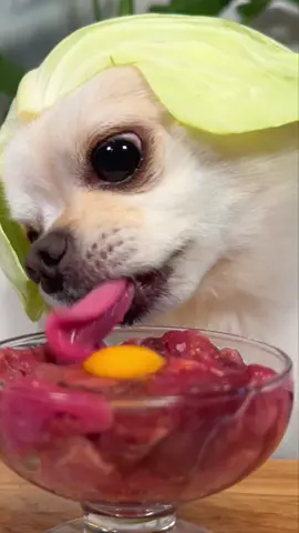 #dogsoftiktok #asmr #tiktokfood #animals 