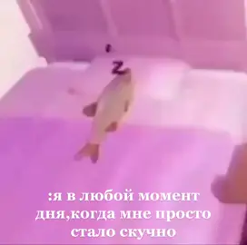 Так и есть #буквы #мем #рыба #рек 
