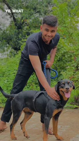 #CapCut #trending #ffp #tiktok #srilanka  Hii🙂