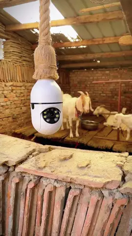 Do you want to one.360° wireless Bulb Security Camera for indoor/outdoor🥰🥰🥰#boxingday #fyp #tiktokmademebuyit #goodthing #foryou #bulbcamera 