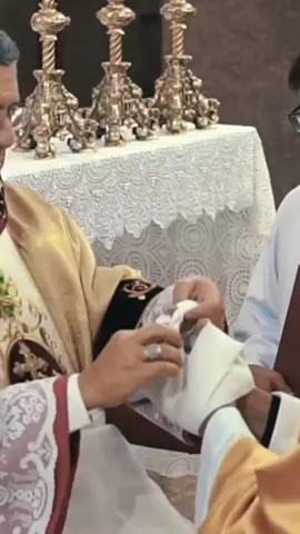 #sacerdote #padre #padres #igrejacatolica #igreja #bencao #familia #mae #pai #joven #jovens #jovenscristaos #jovensadoradores #missao #igrejasanta #rcc #soucatolico #catolicostiktok #amordemae #nossasenhora #aparecidapelobrasil 